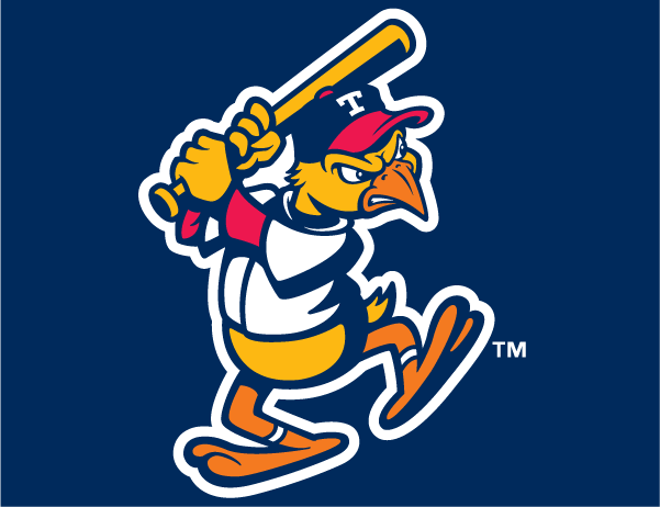 Toledo Mud Hens 2006-Pres Cap Logo v2 iron on transfers for T-shirts